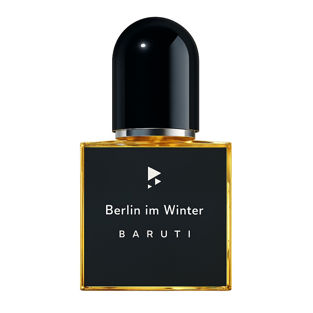 Berlin in Winter